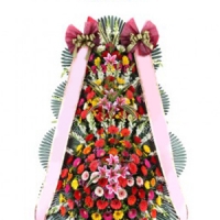 ±ÝÁÖÀÇ º£½ºÆ®»óǰ