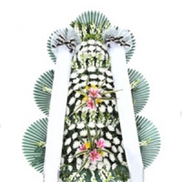 ±ÝÁÖÀÇ º£½ºÆ®»óǰ