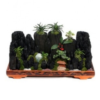 ±ÝÁÖÀÇ º£½ºÆ®»óǰ