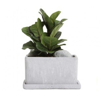 ±ÝÁÖÀÇ º£½ºÆ®»óǰ