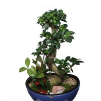 ±ÝÁÖÀÇ º£½ºÆ®»óǰ