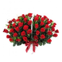 ±ÝÁÖÀÇ º£½ºÆ®»óǰ