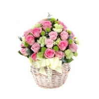 ±ÝÁÖÀÇ º£½ºÆ®»óǰ