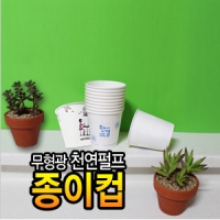 ±ÝÁÖÀÇ º£½ºÆ®»óǰ