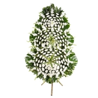 ±ÝÁÖÀÇ º£½ºÆ®»óǰ